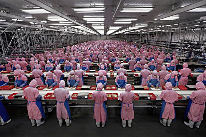Factory workers on a production line