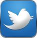 twitter-icon